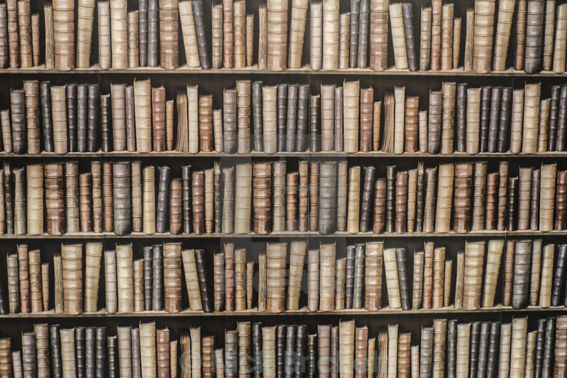 Free Download Bookshelf Wallpaper Picfair 1120x746 For Your