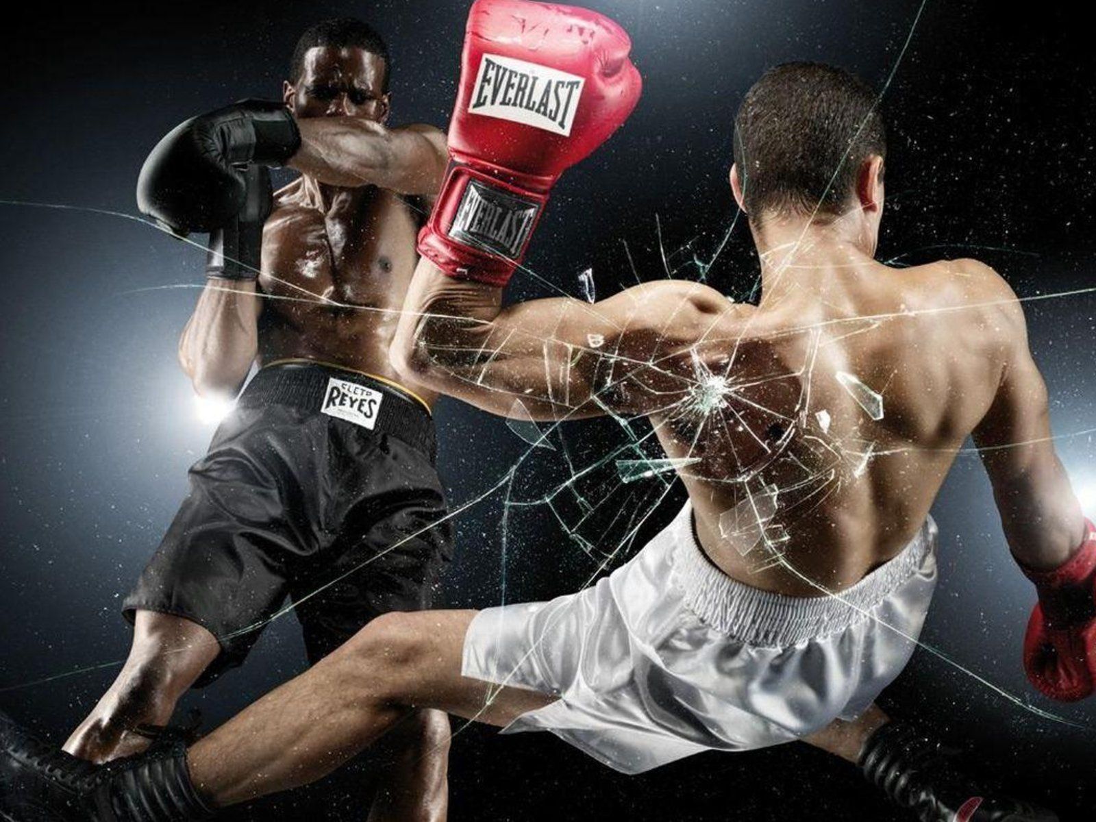 Supreme x Everlast Boxing Gloves (Fall/Winter 2008) #nosply