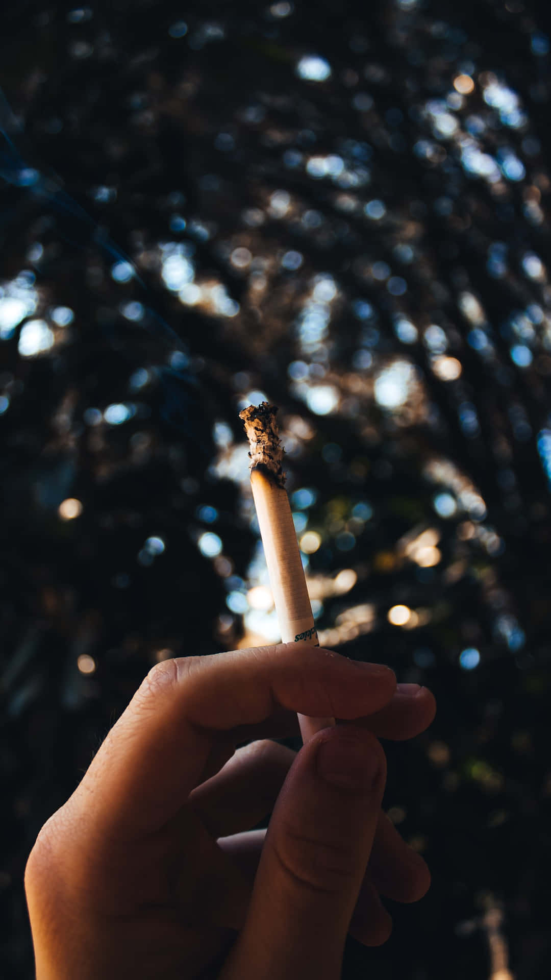 Photography iPhone Wallpaper