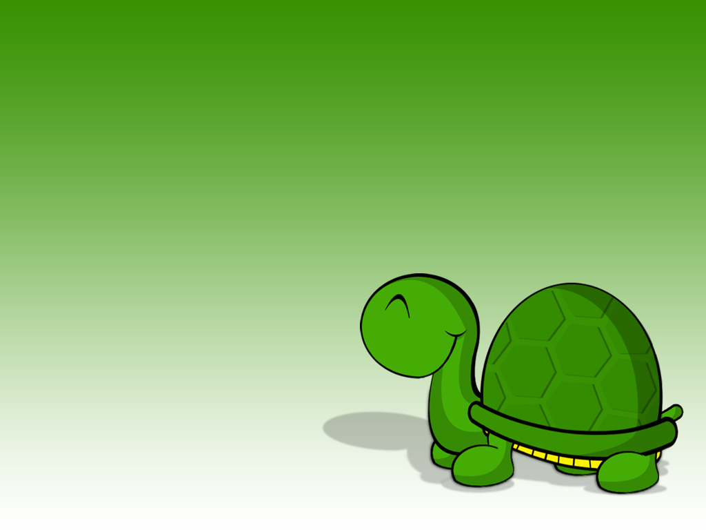 Turtle Wallpaper By Shaggy87