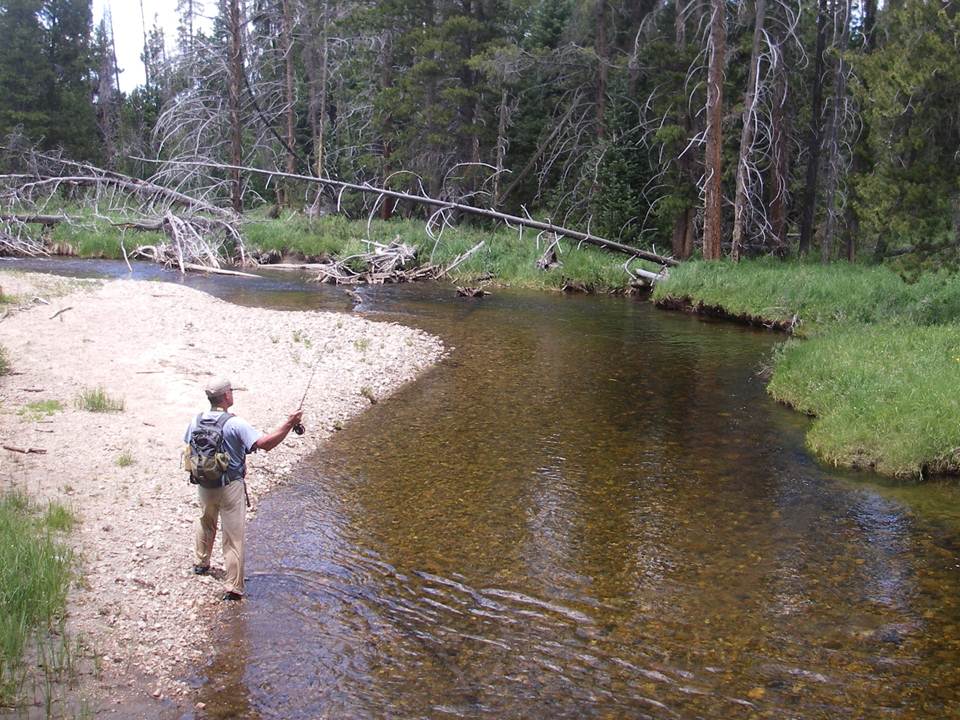 Elkmtnlodge Stream Fishing Technique Techniques For