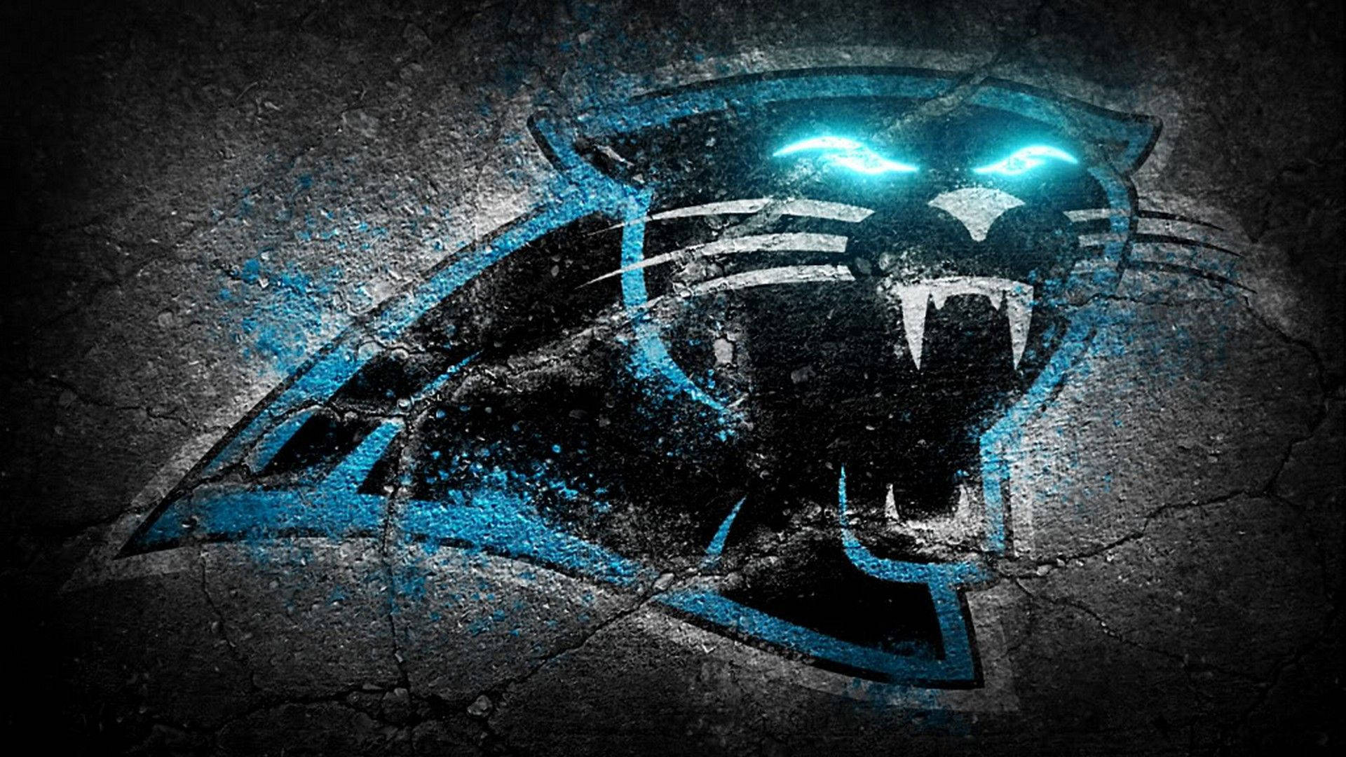 Carolina Panthers Wallpaper