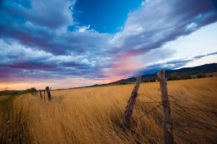 Purple Dusk Premade Background By Little Spacey