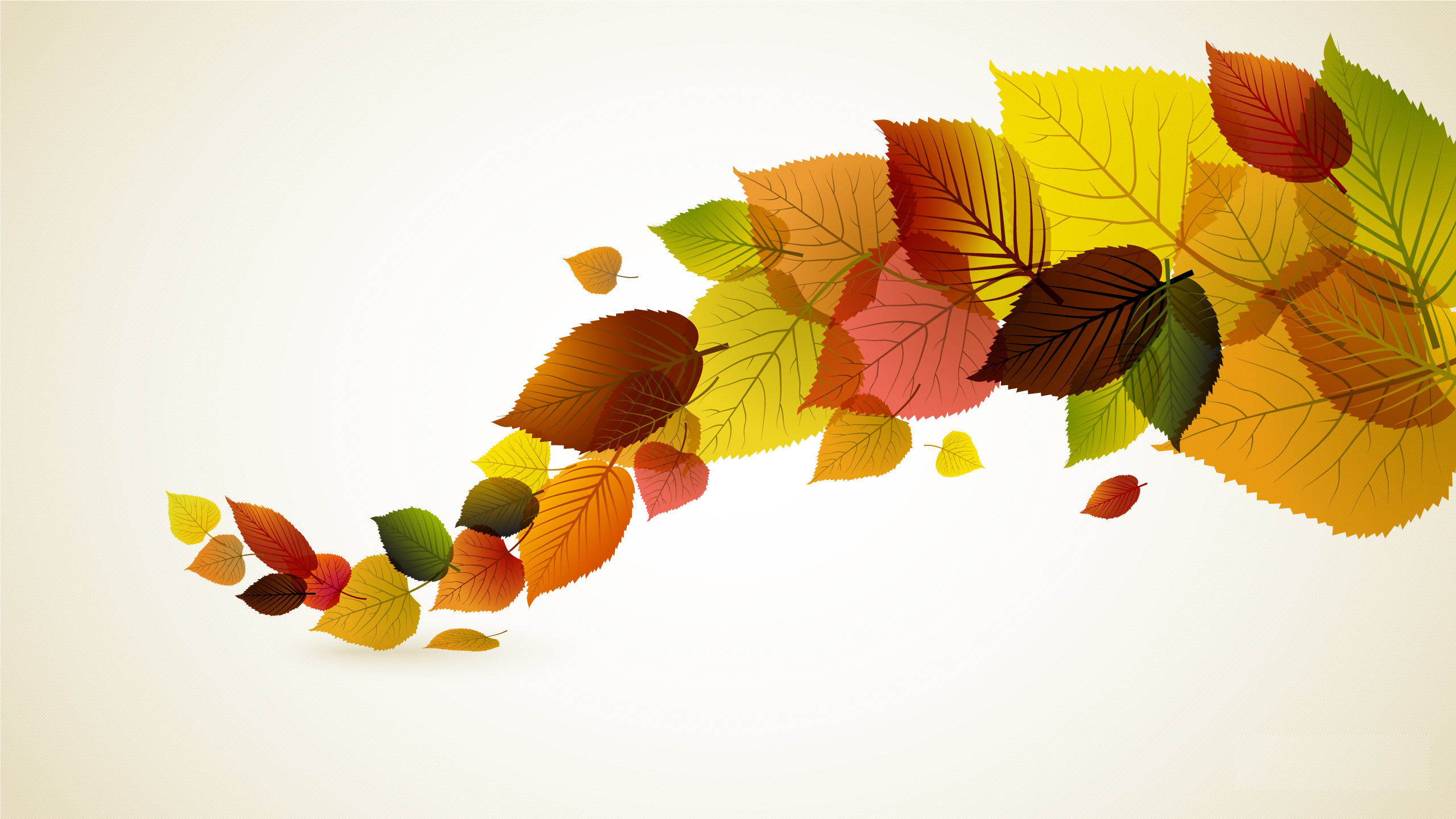 Autumn Leaves HD Desktop Wallpaper Background