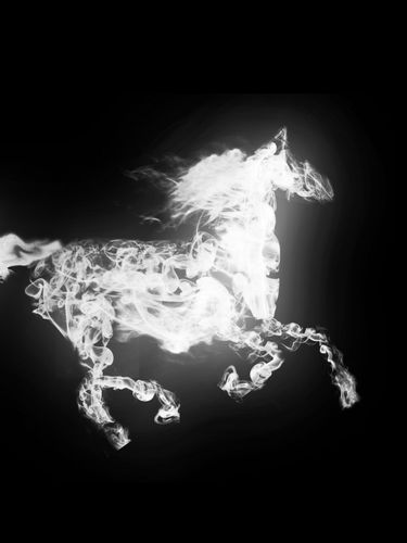 Smoking Horse Screensaver For Amazon Kindle