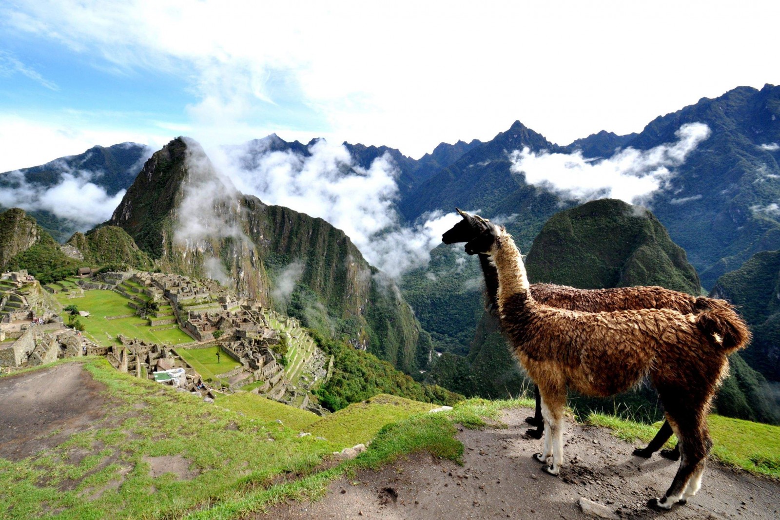 And Machu Picchu Peru Wallpaper HD
