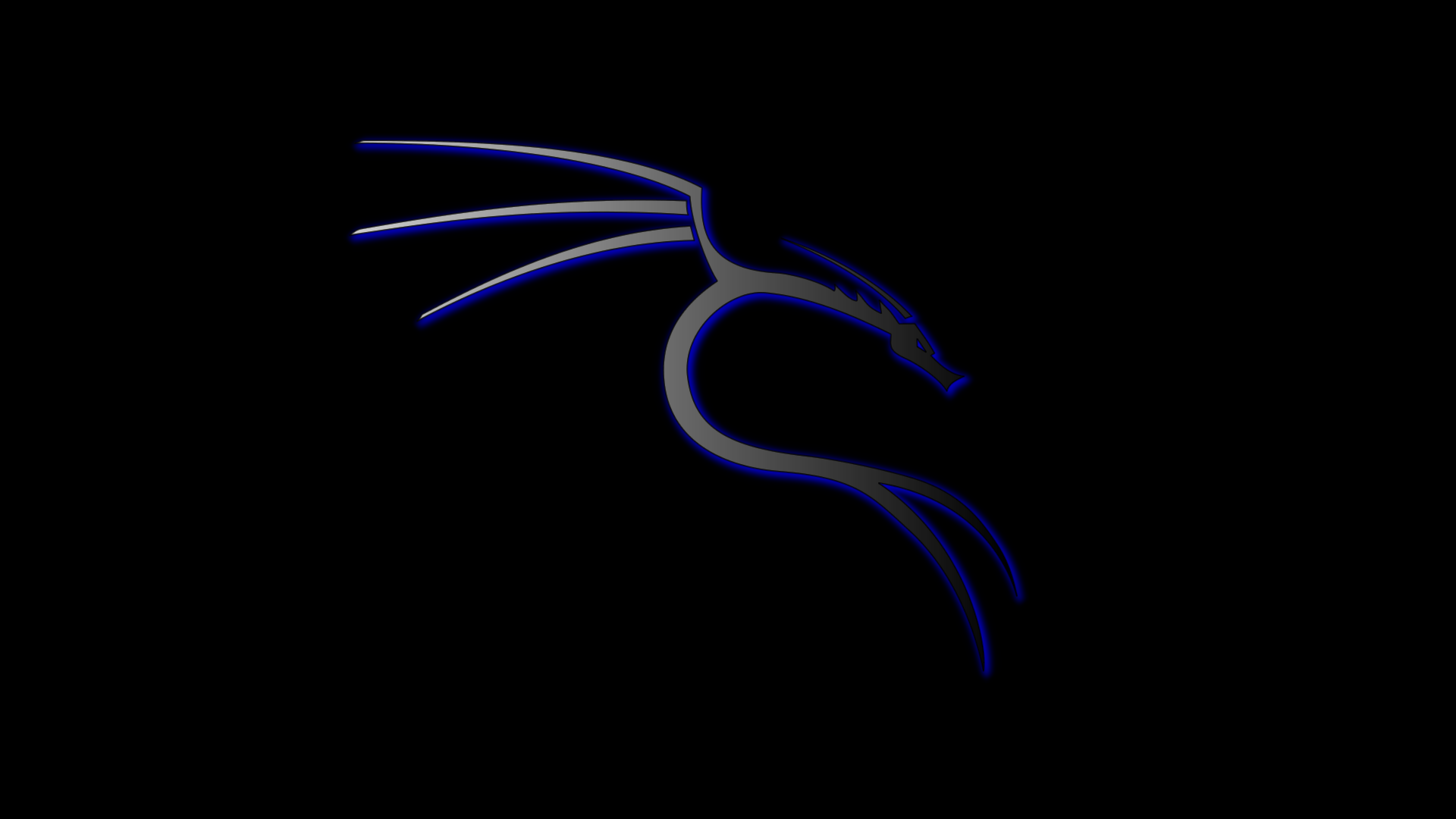 Kali Linux Wallpaper On