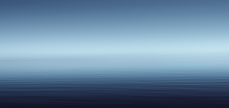 Focus MFT Wallpapers