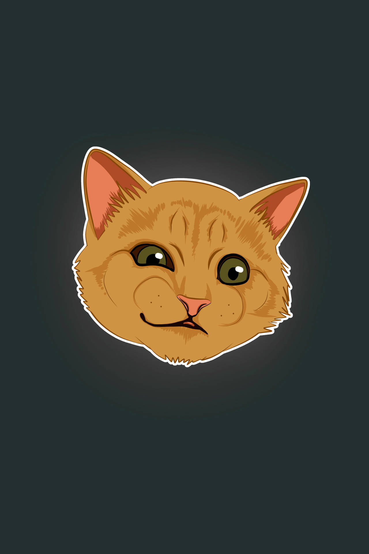 Cat Meme Wallpaper