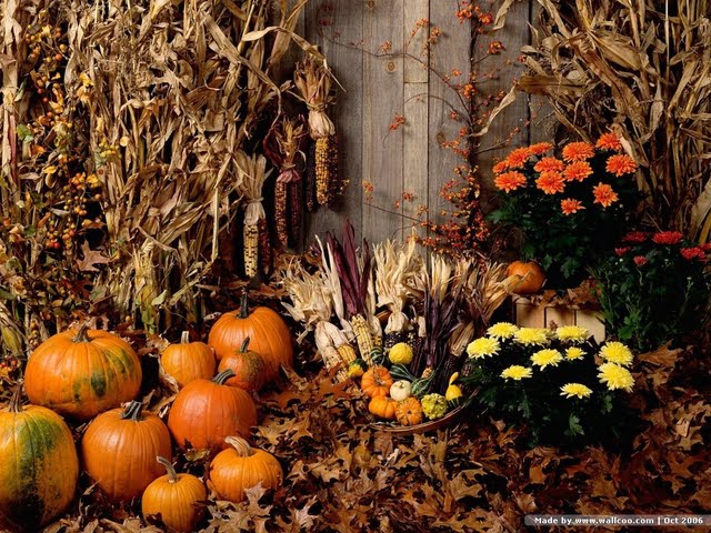 Fall Harvest Wallpaper Display Pumpkins