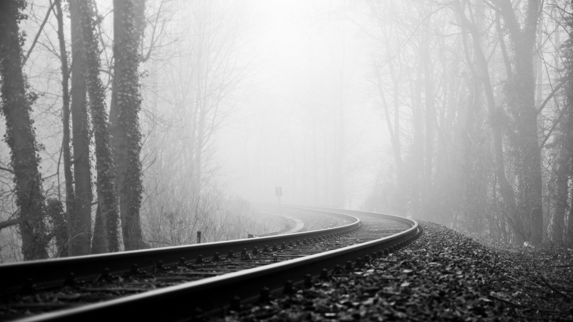 Train Tracks Railroad Black White Trees Forest Fog Haze Wallpaper