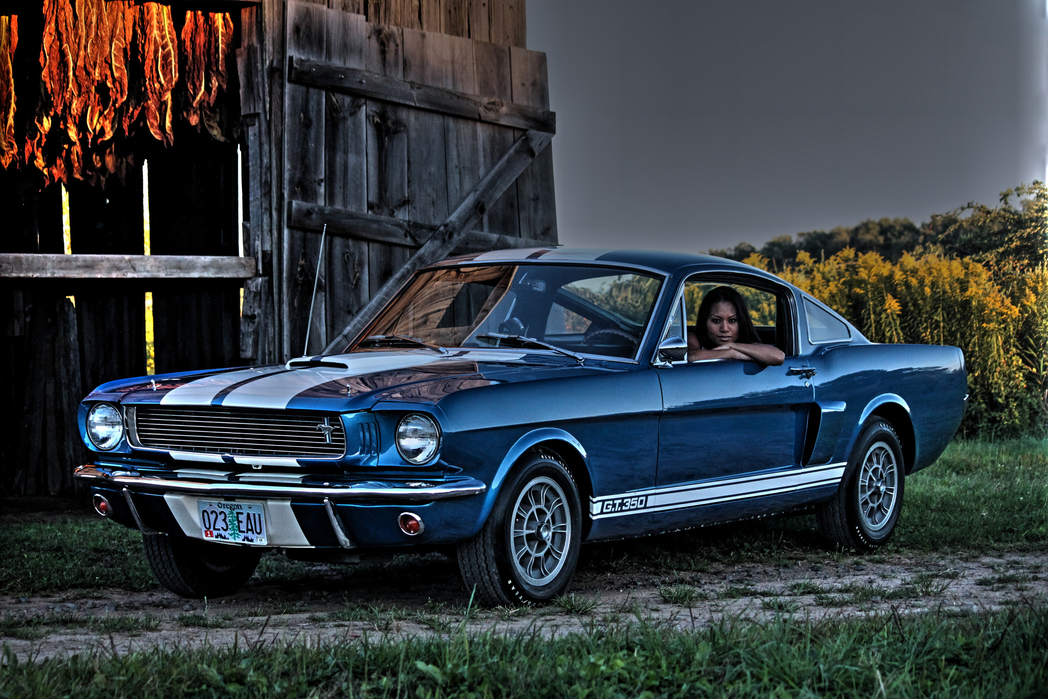 Ford Mustang Shelby Gt350 Best Car Pictures And Wallpaper
