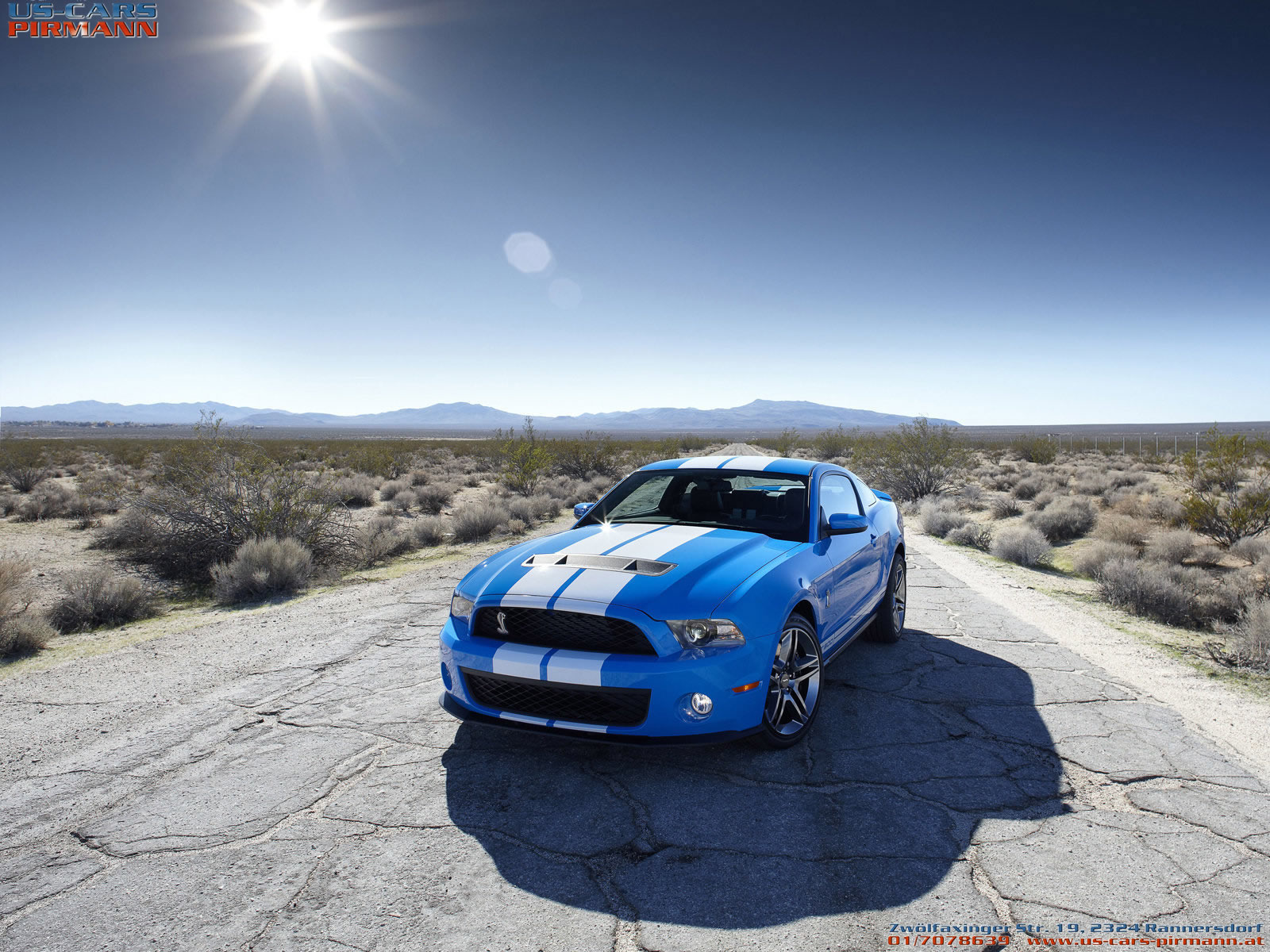 Ford Mustang Shelby Gt Wallpaper