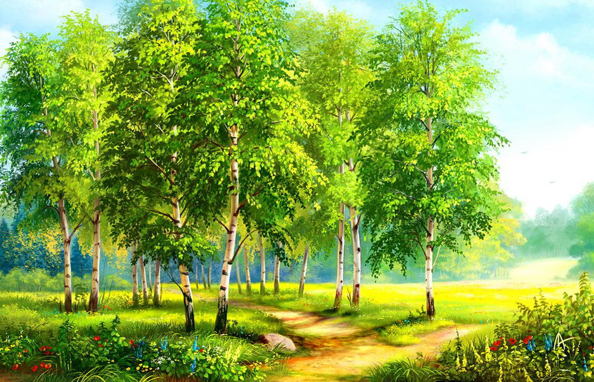 Spring Forest Wallpaper HD Desktopinhq