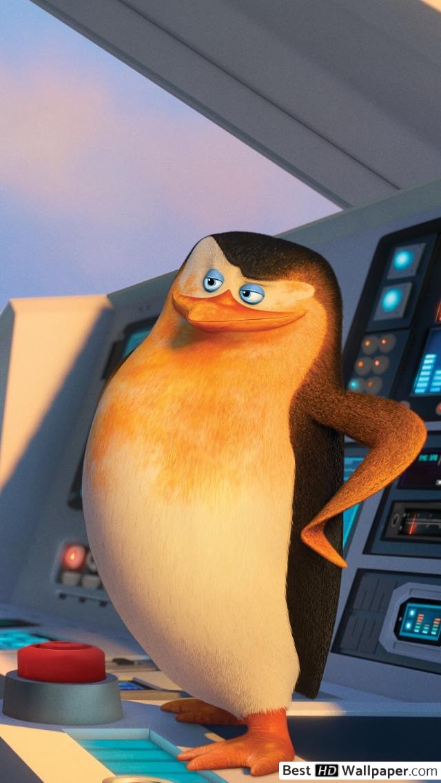 Penguins Of Madagascar The Wolf And Skipper HD Wallpaper