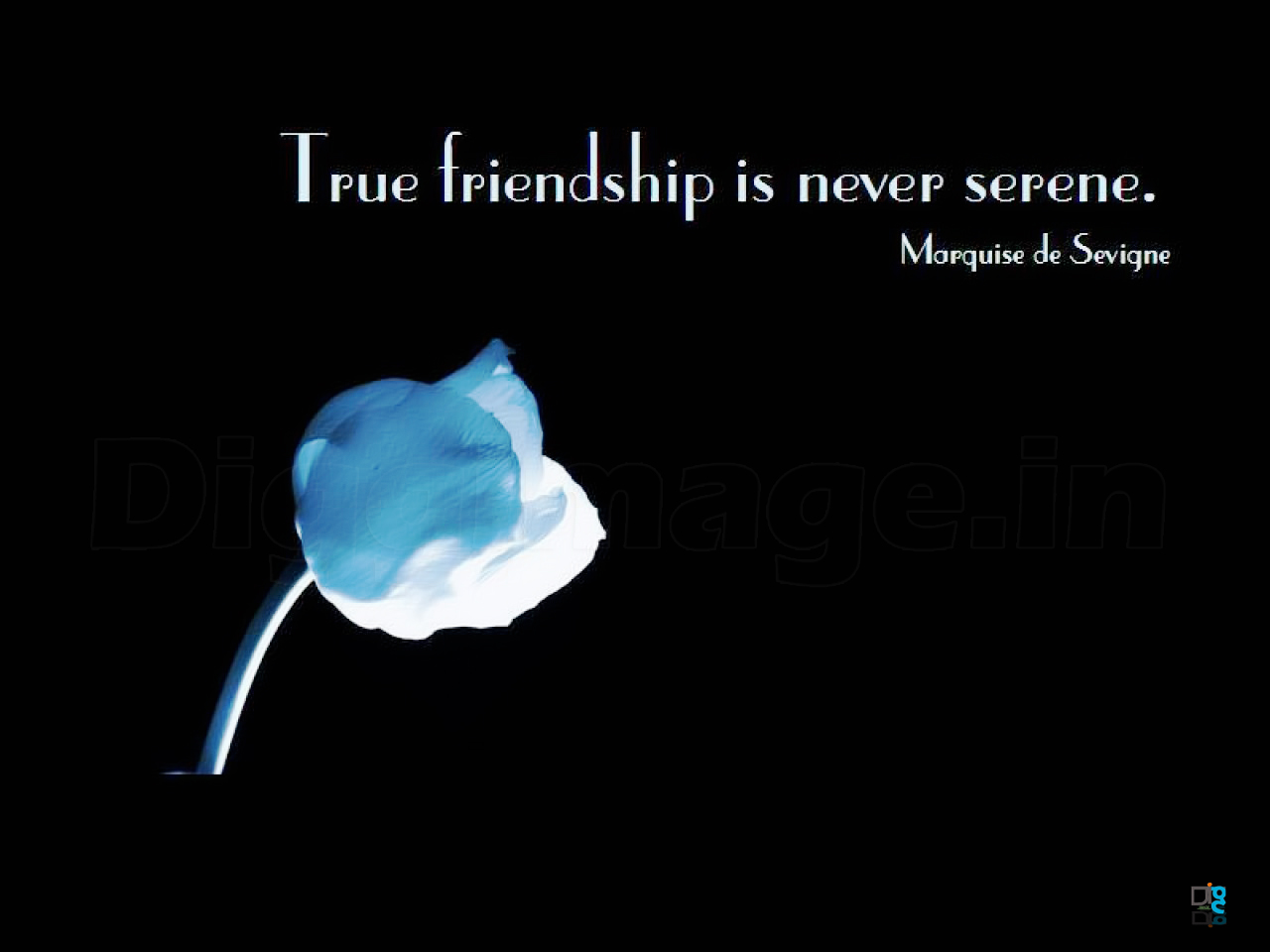 True Friendship Is Never Serene Best Friends Wallpaper And Scraps