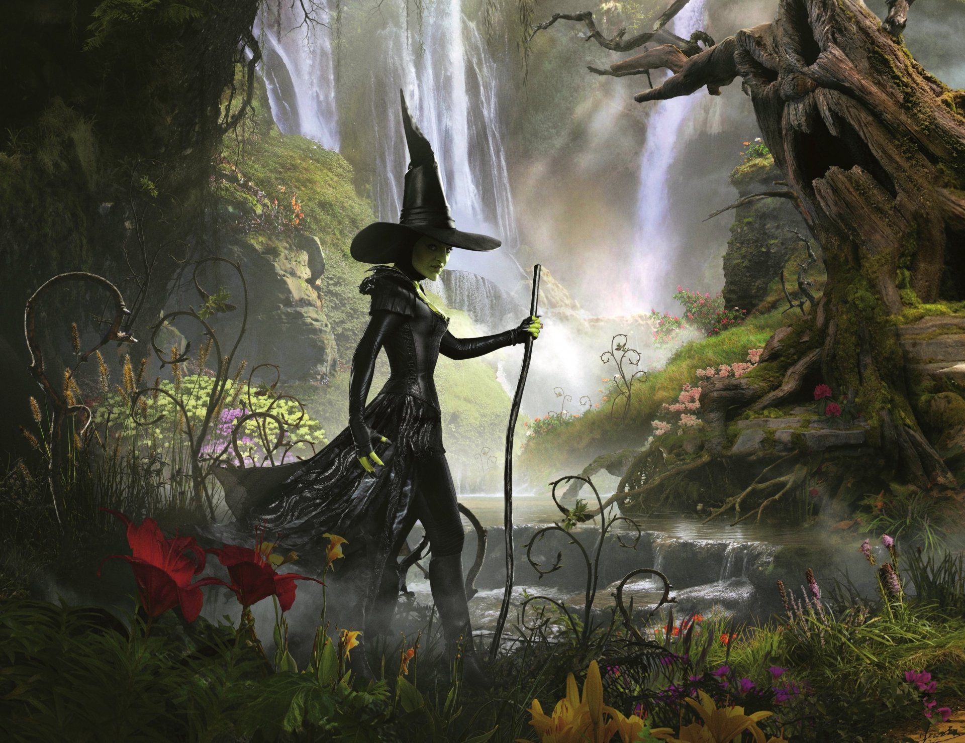 Enchanting Dark Forest Wallpaper