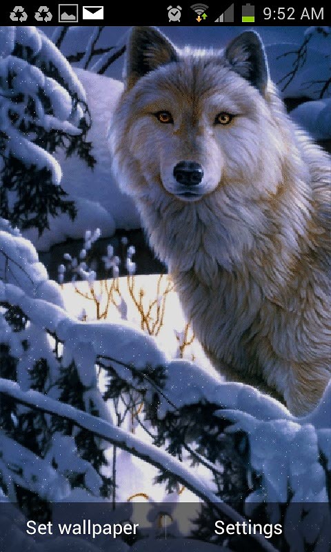 Wolf Wind Live Wallpaper Android