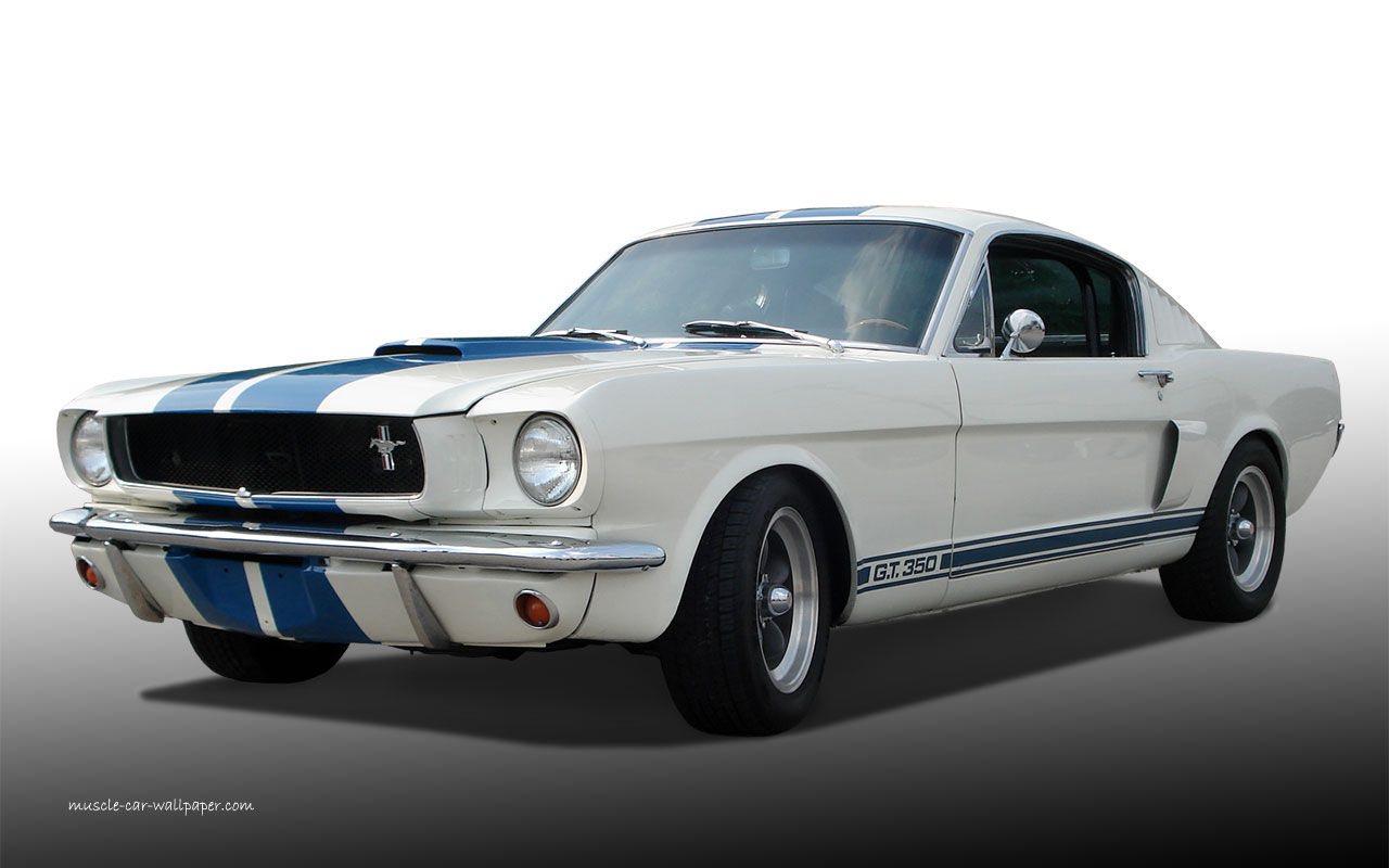 Ford Mustang Gt Wallpaper White Left Front 1280