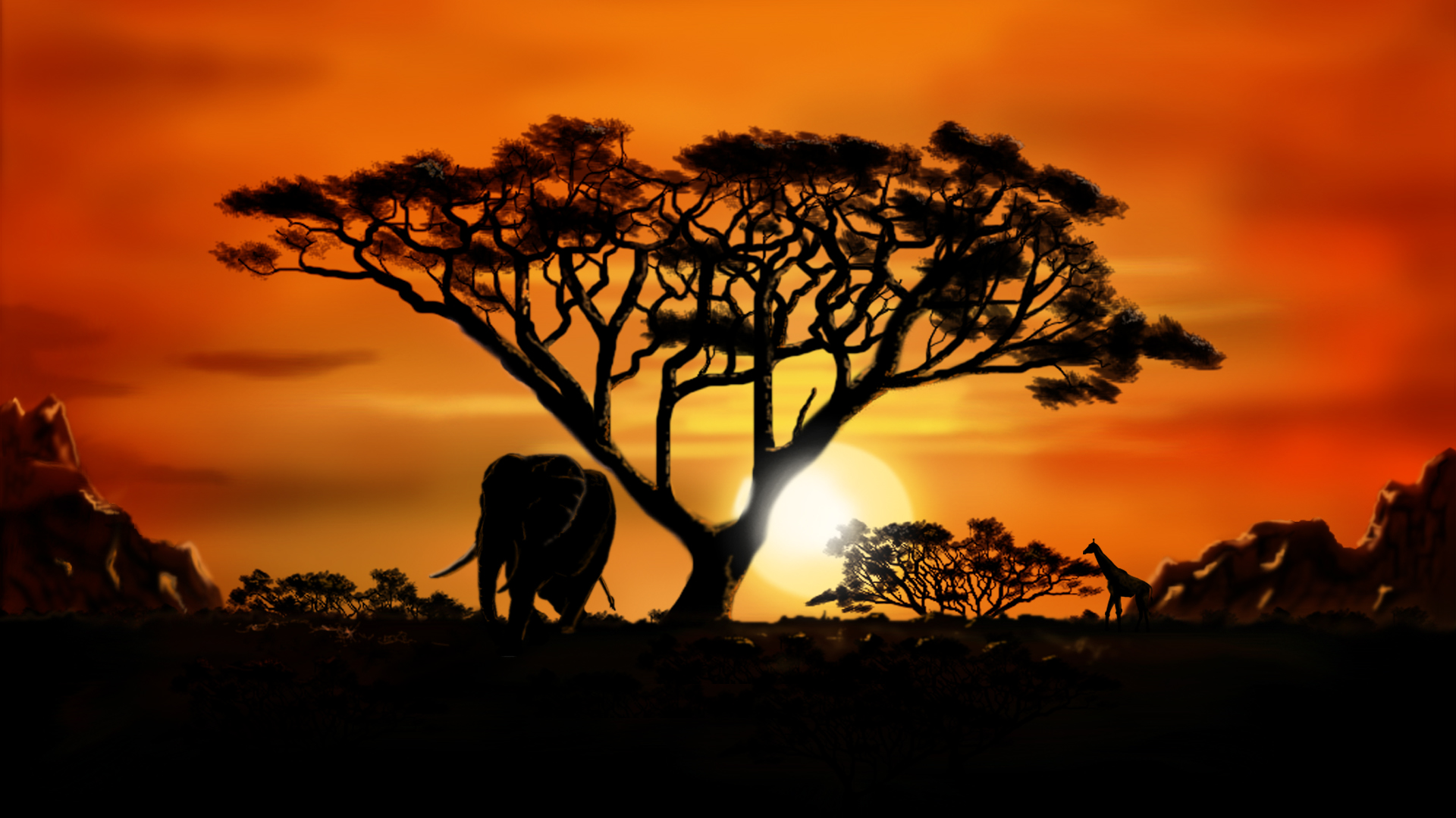 African Animals Wallpaper HD  PixelsTalkNet