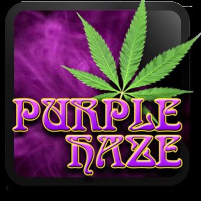 Marijuana Live Wallpaper Pro For Android Apps Fun