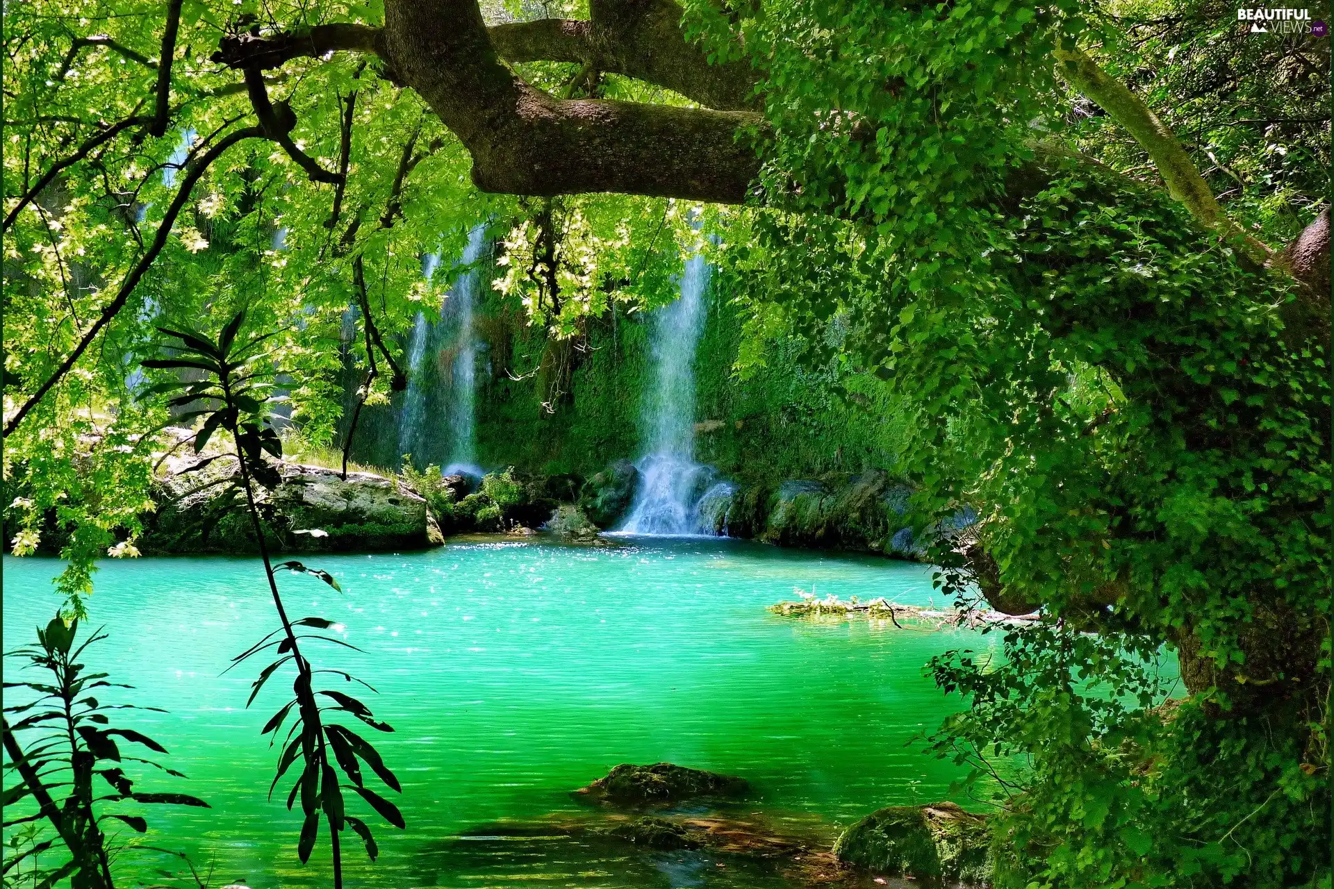 Waterfall Vegetation Green Woods Wallpaper
