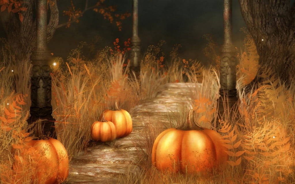 Free download Pumpkin Wallpaper