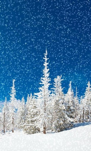 Animated Wallpaper Christmas In HD