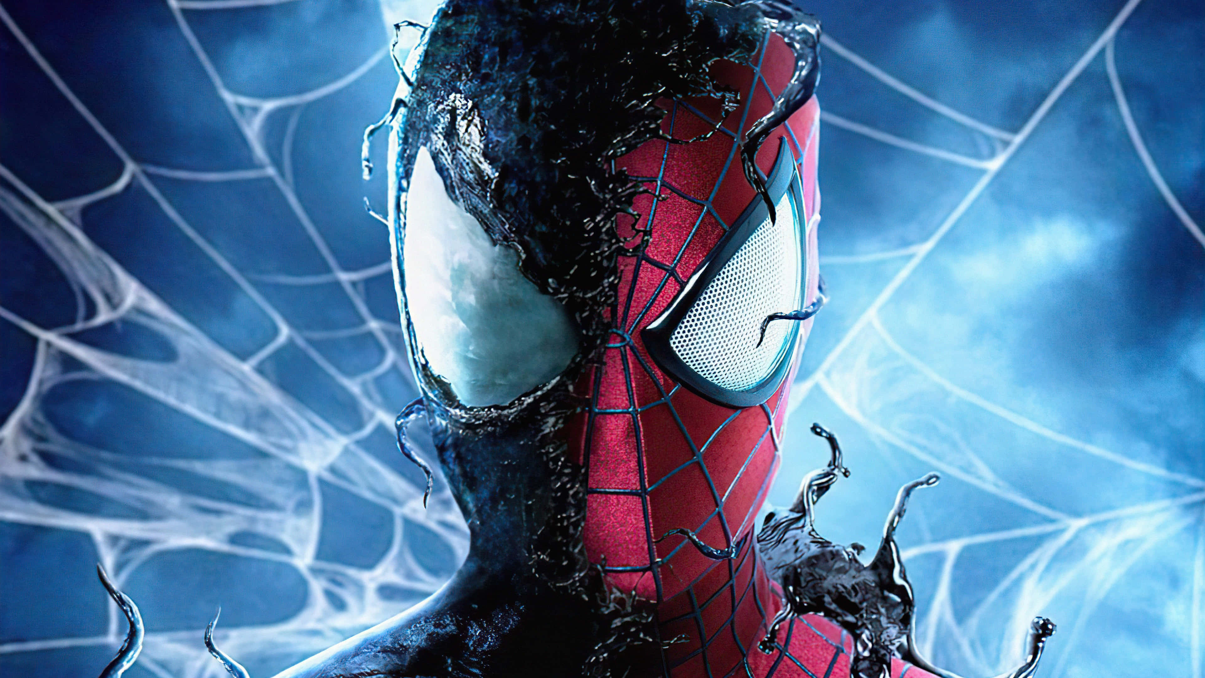 En Spiderman Pfp X Wallpaper