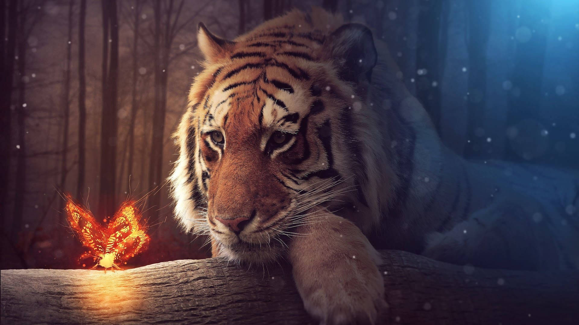Tiger iPhone Wallpaper
