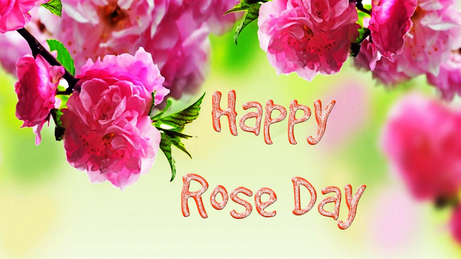 Rose Day Wallpaper For Friends And Lover Haryanvi Makhol