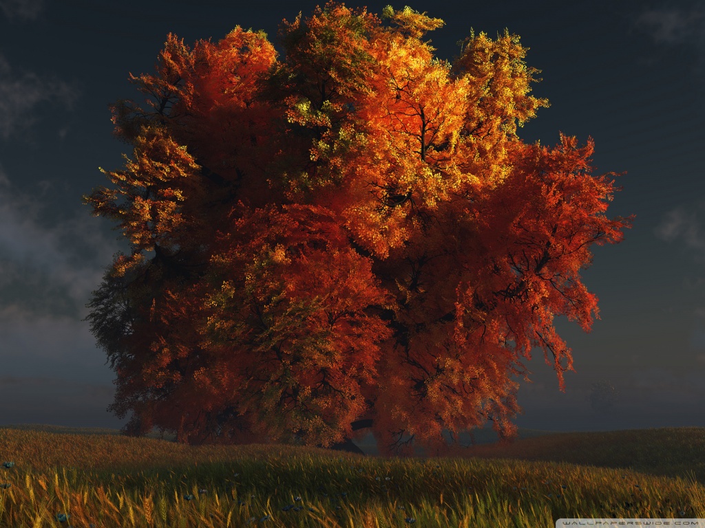 3d Autumn Tree Desktop Wallpaper
