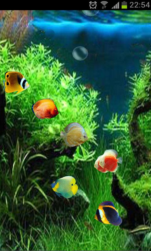 Underwater Scenery with Fish 3D Wallpaper