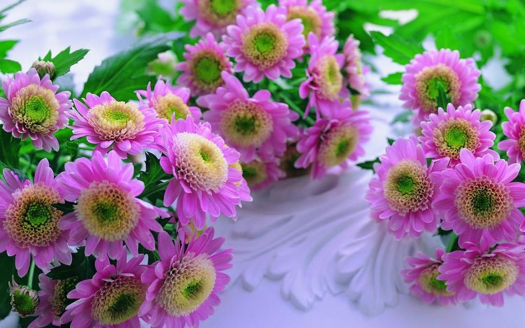 Christy On Beautiful Flowers Wallpaper