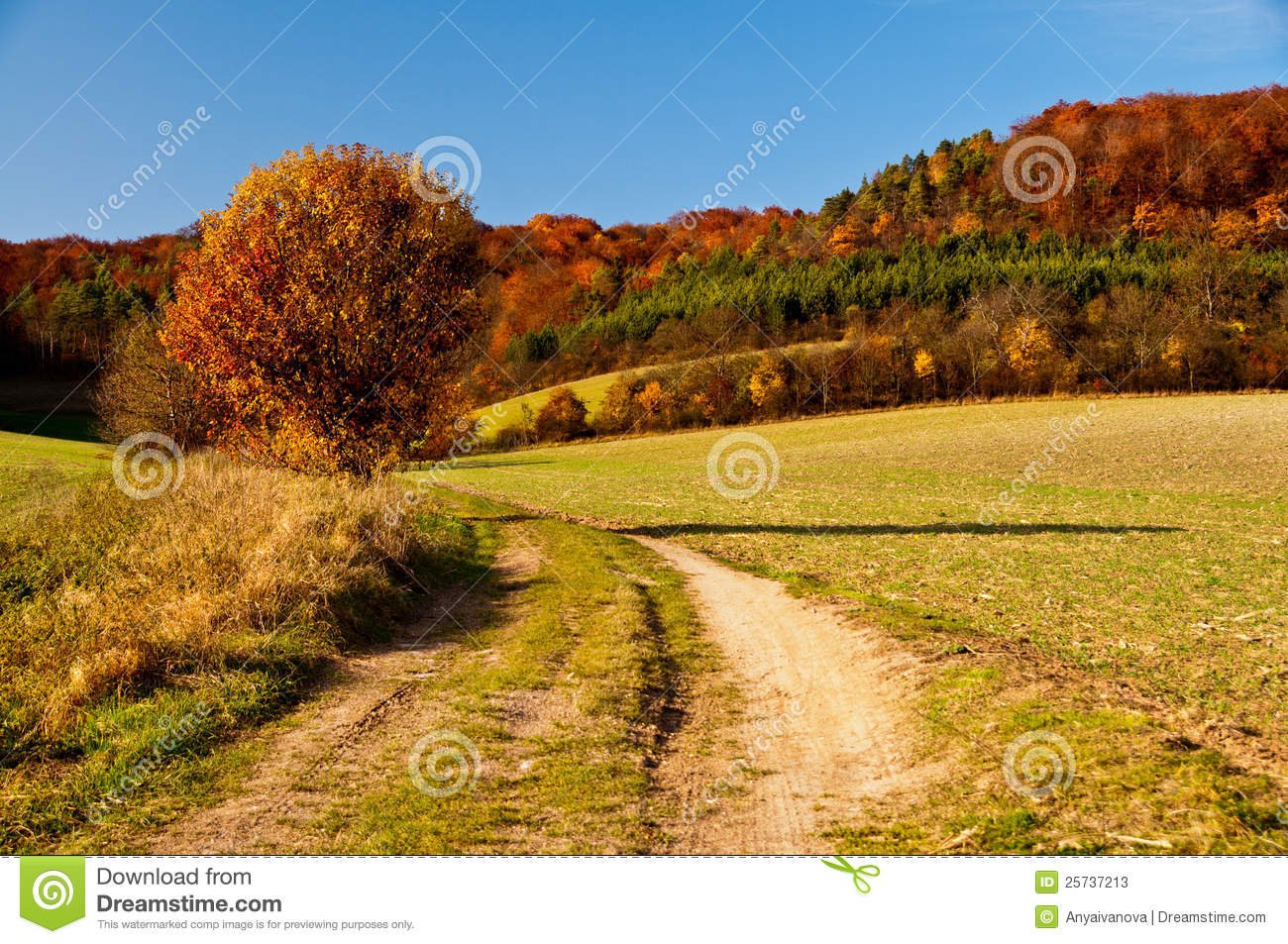 Pin Autumn Countryside Landscape Wallpaper Current Size