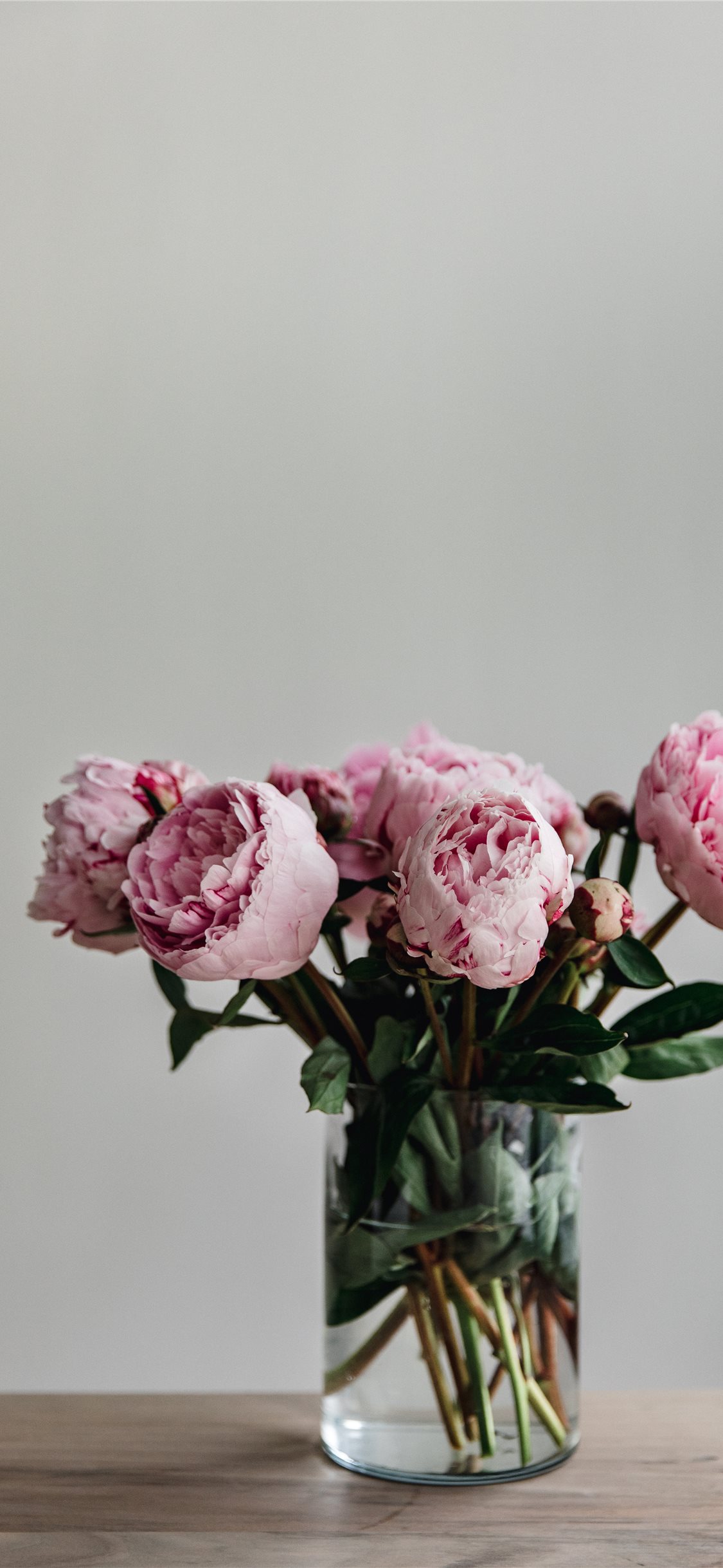 This Simple Image Of A Bunch Peonies In Vase iPhone X