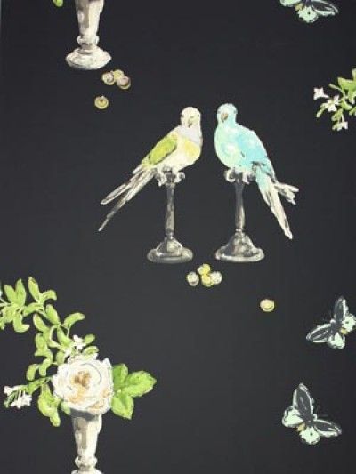 Perroquet Wallpaper By Nina Campbell For The Home