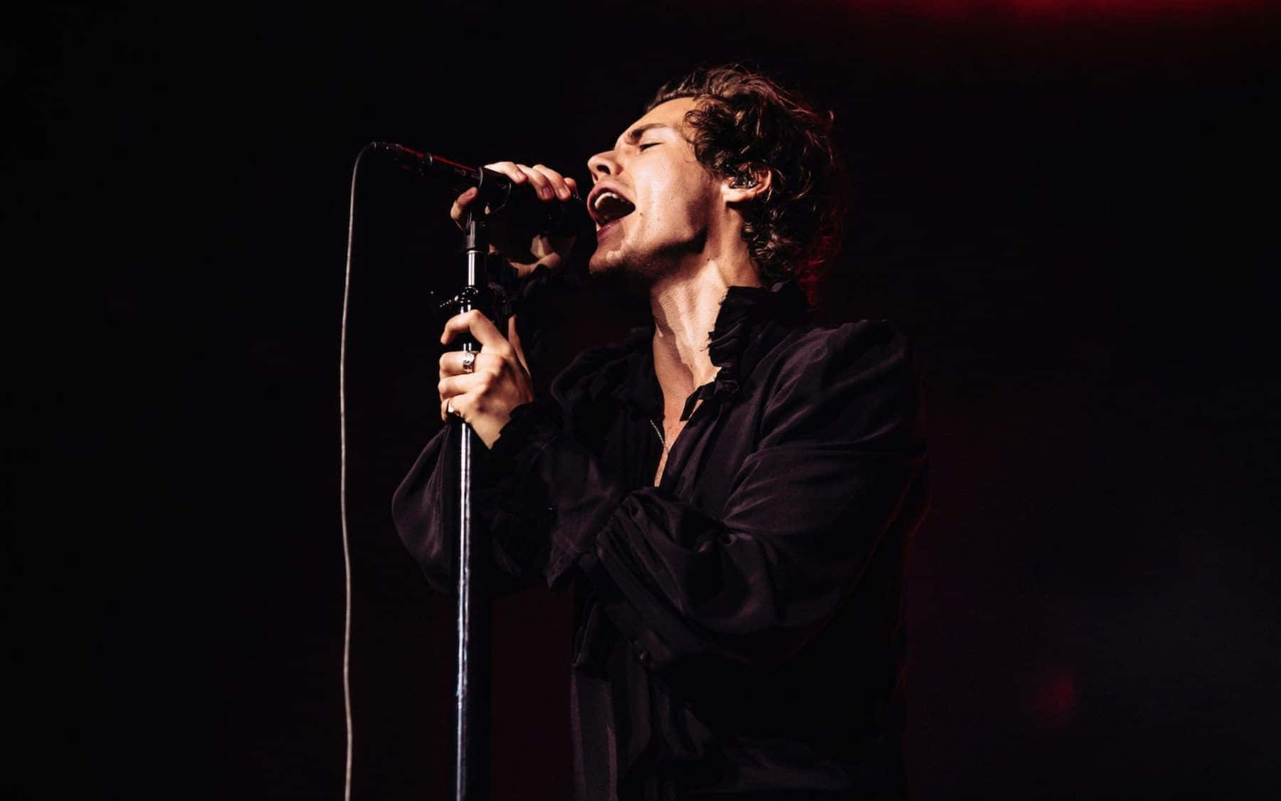 Harry Styles Enjoys The From His Laptop Wallpaper