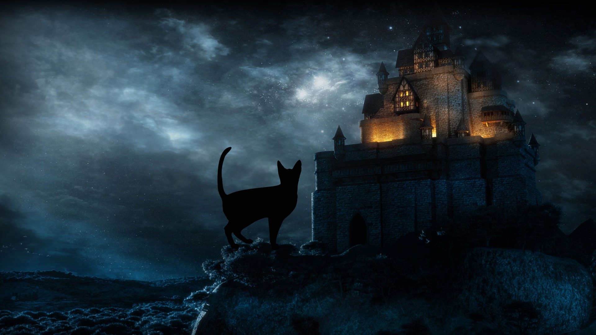 Halloween Black Cat HD Desktop Wallpaper Baltana