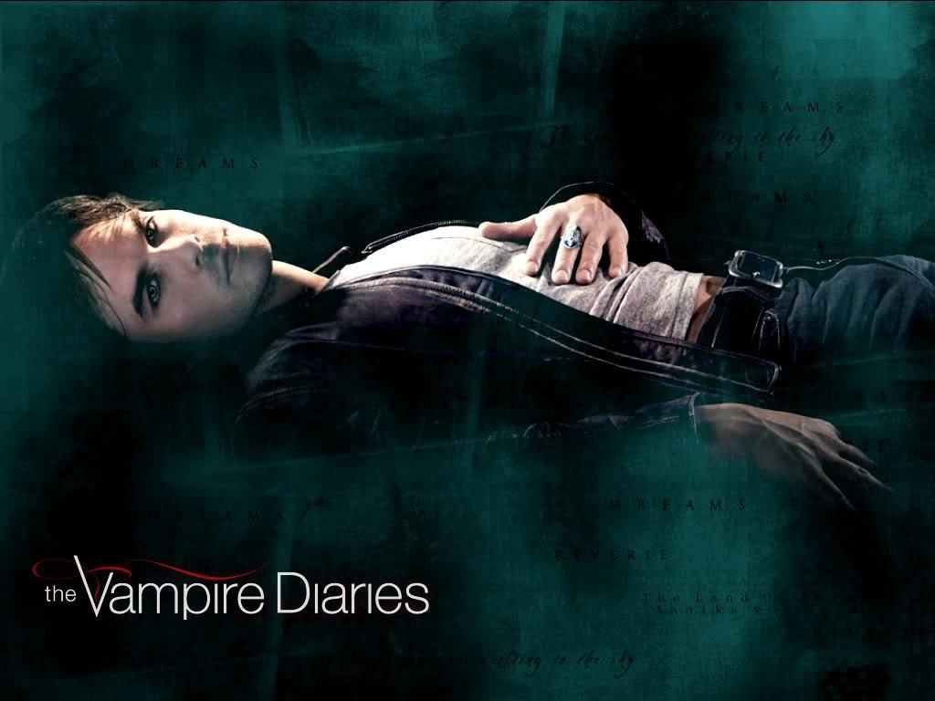 The Vampire Diaries Damon And Stefan Salvatore Wallpaper