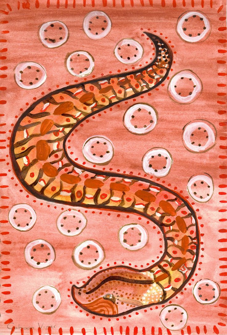 Aboriginal Snake By Chikiya