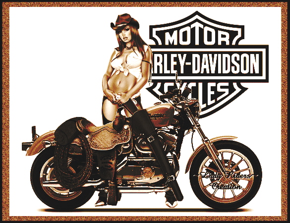 Sexy Harley Davidson Chick Uploaded By Harleymike On Tuesday January