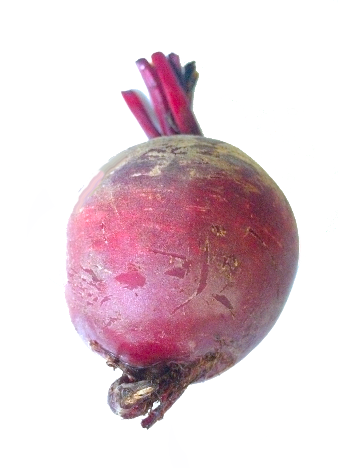 Beetroot Wallpaper
