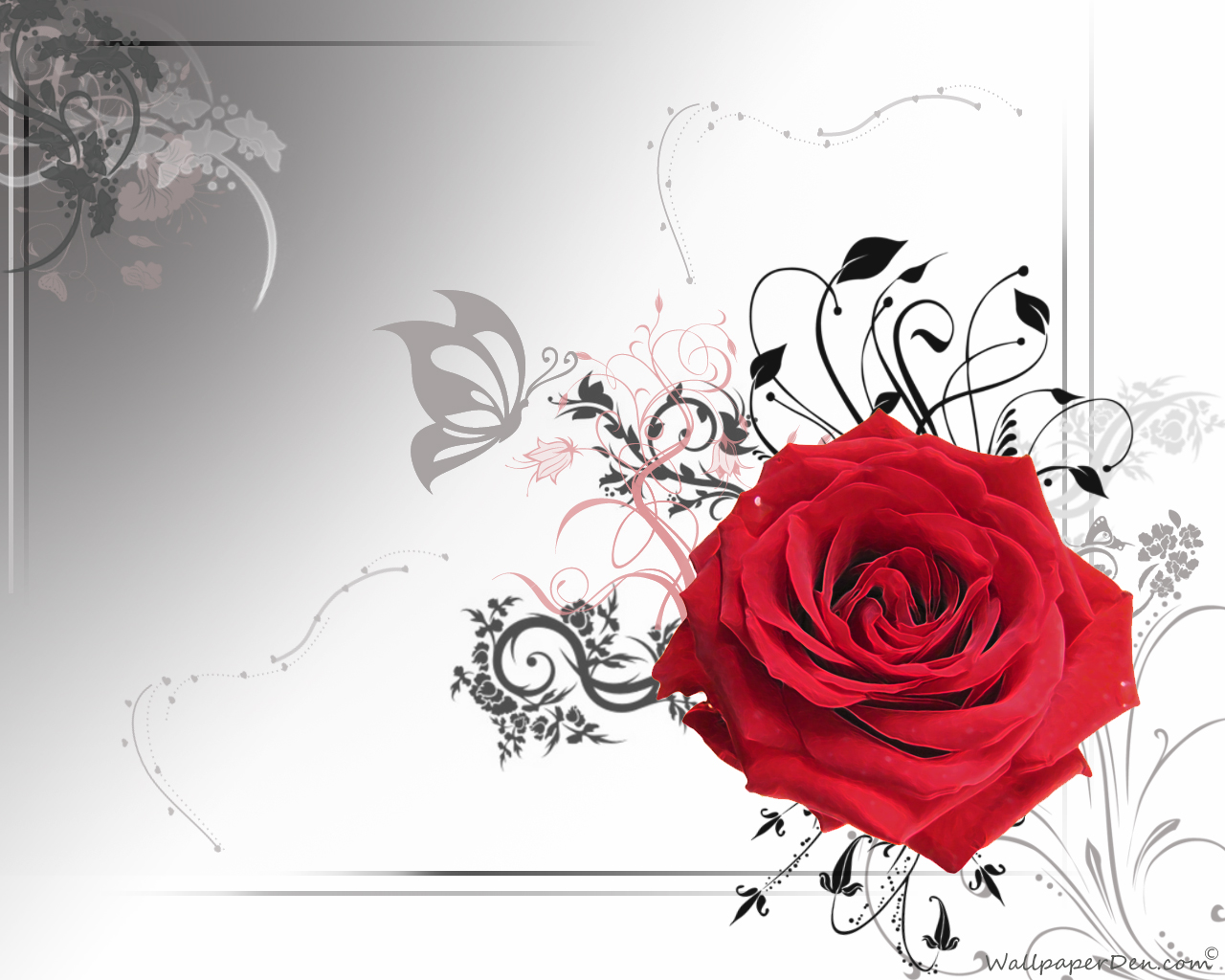 [45+] 3D Red Roses Wallpaper on WallpaperSafari