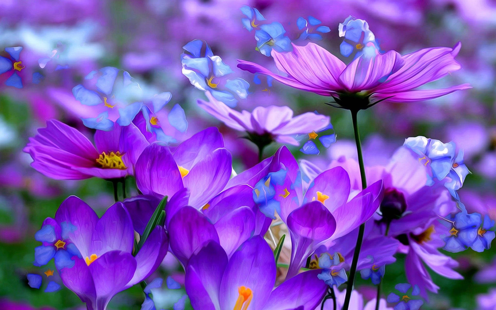 Purple Flower Desktop Wallpaper