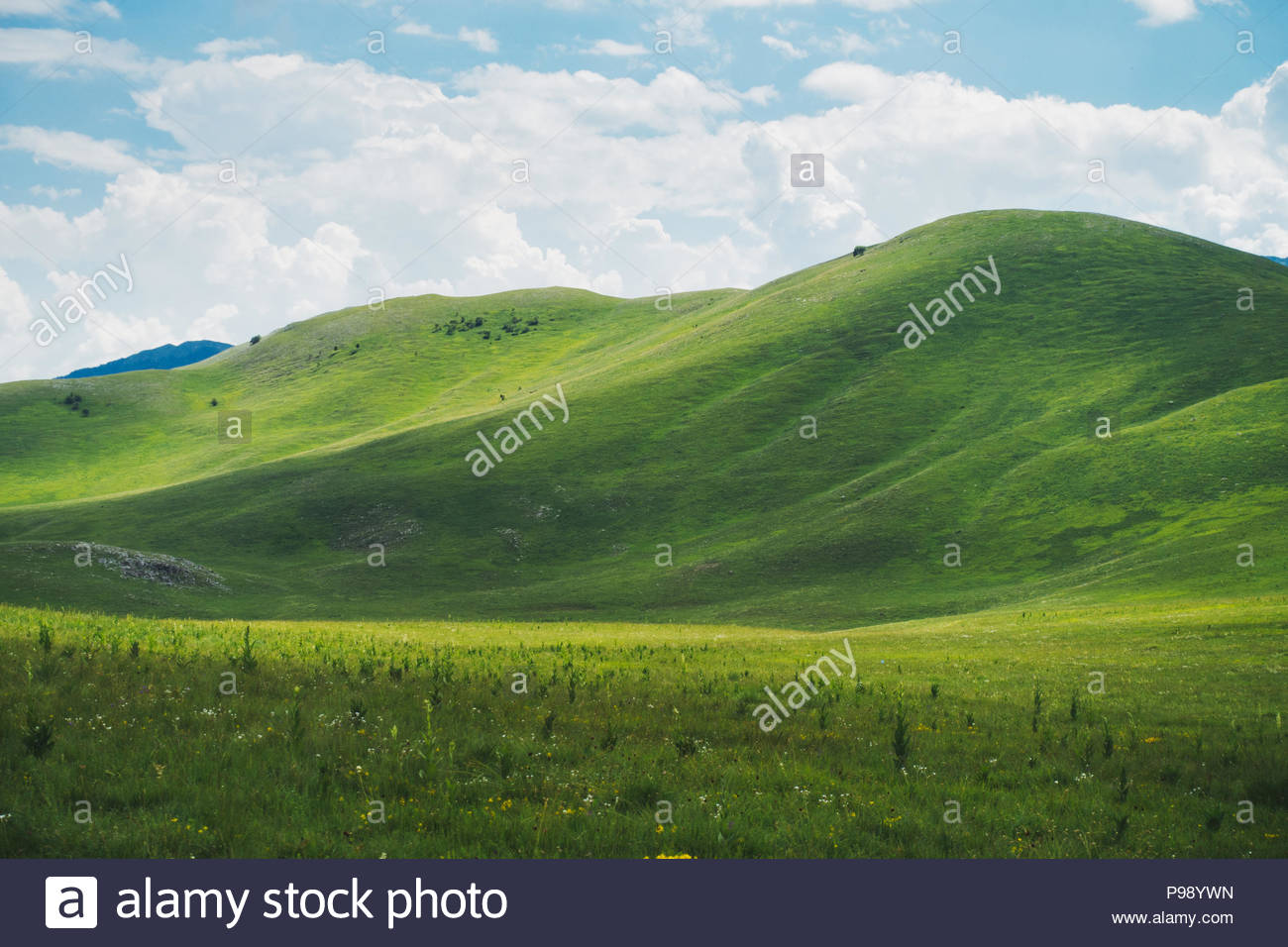 Rolling Green Grassy Hills In Europe Reminiscent Of The Famous