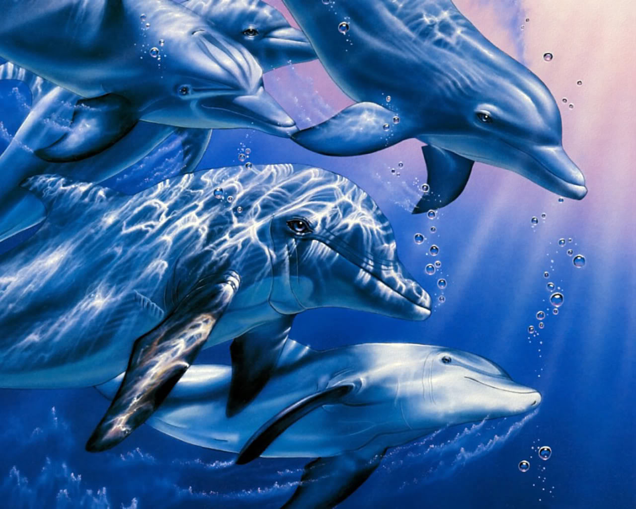 Desktop Background Dolphins