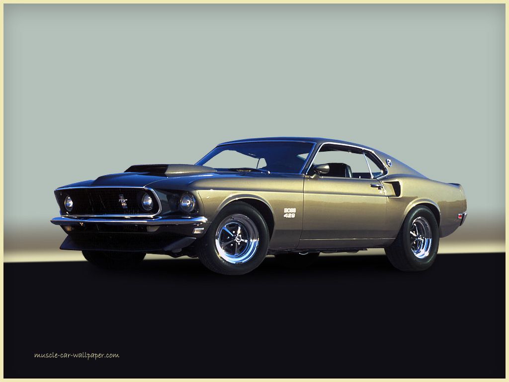 Muscle Cars Ford Mustang Boss Fastback Car