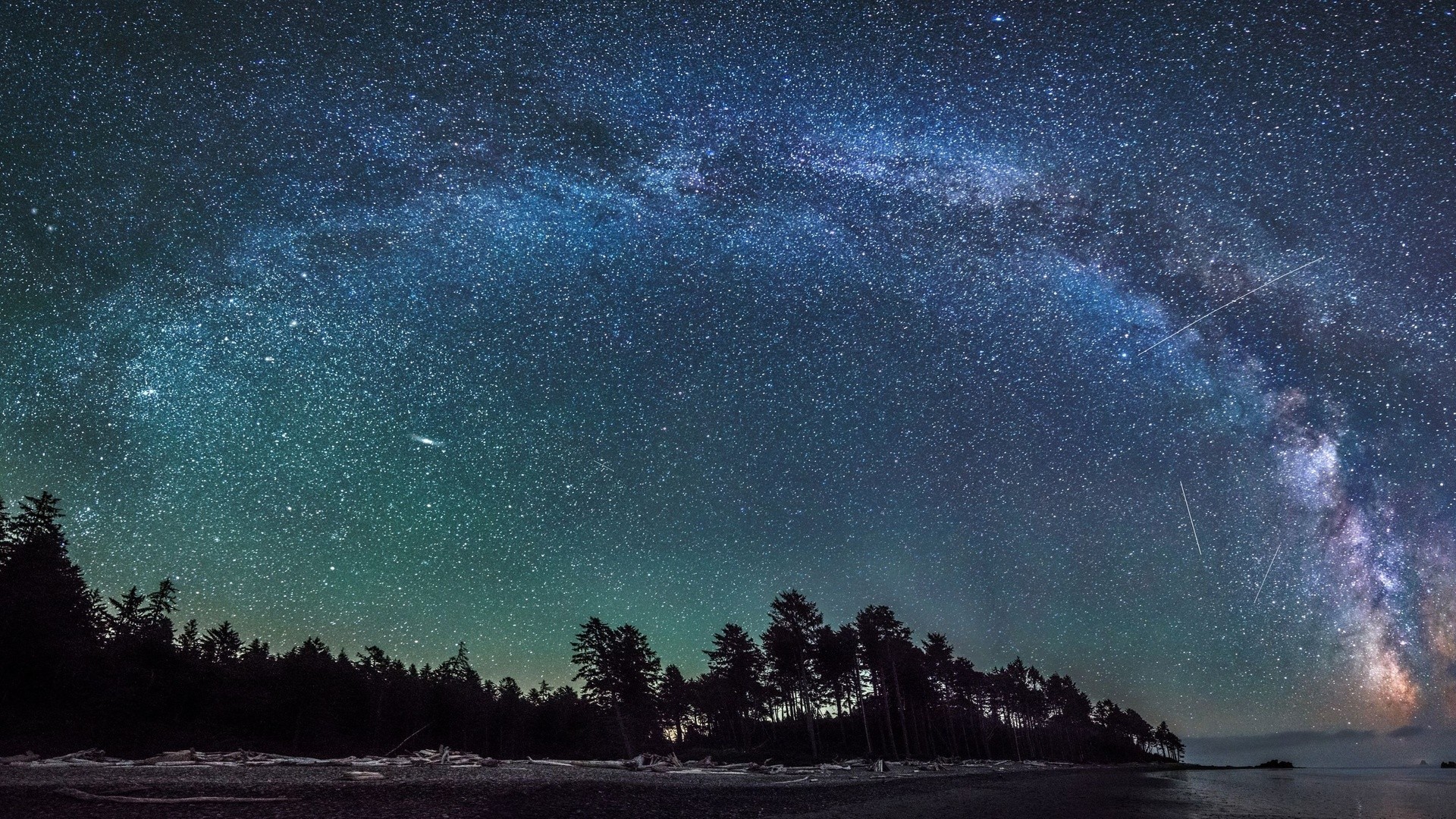 A breathtaking panorama of the Milky Way galaxy arching over a serene coastline, with a dark silhouette of trees in the foreground and shooting stars adding to the magical ambiance