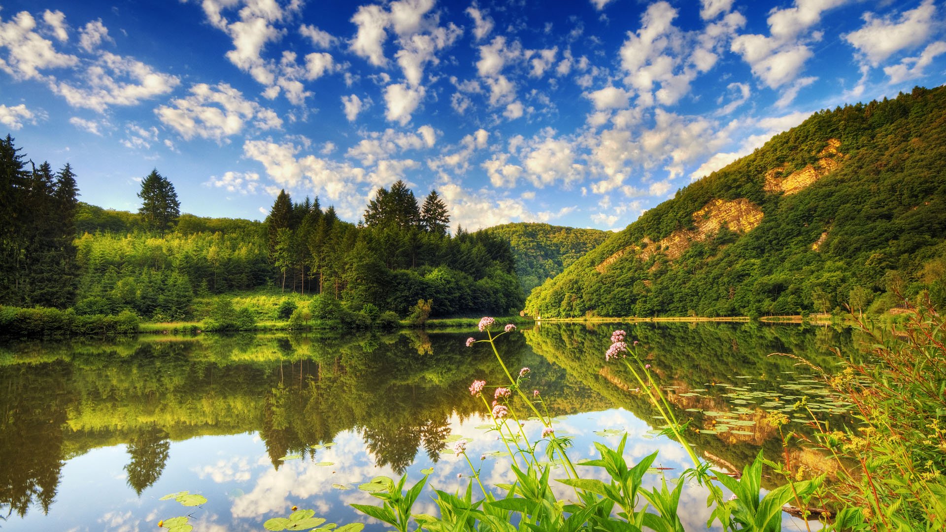 Breathtaking Summer Landscape HD Wallpaper Widescreen